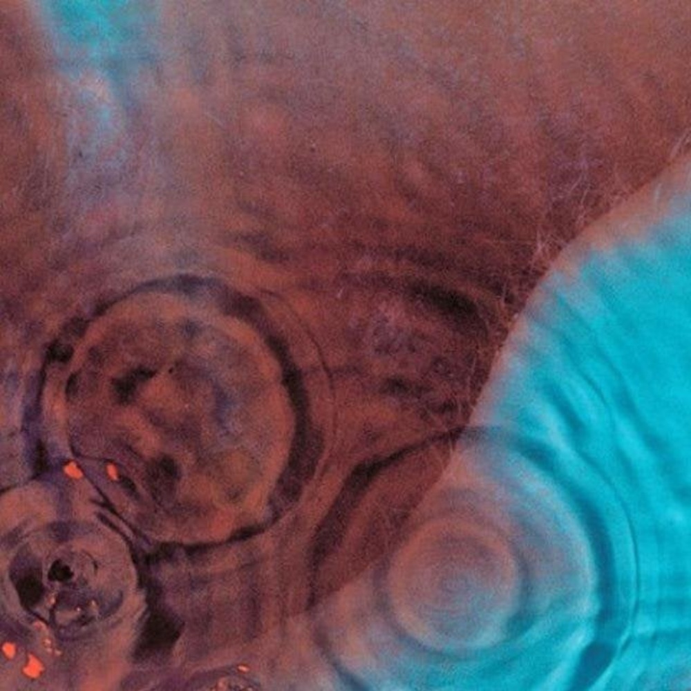 Meet your Posher, Seth